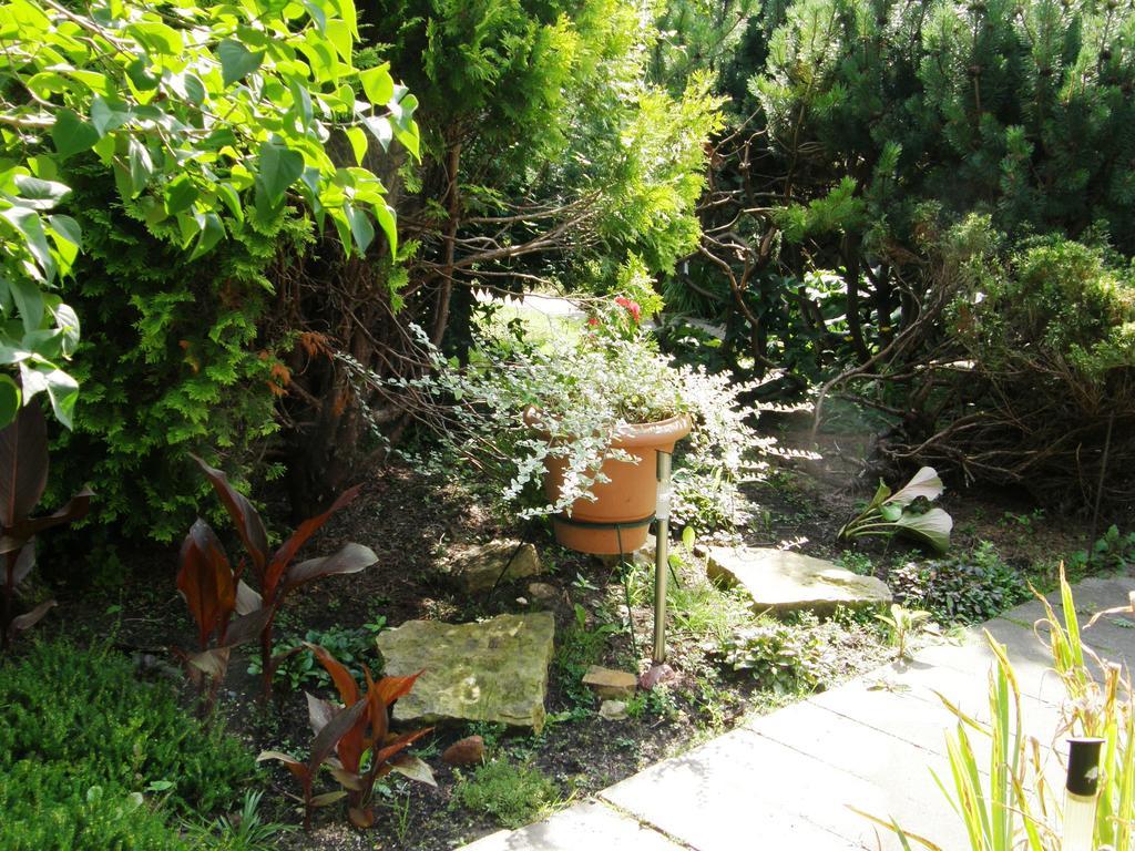 Šiauliai Home For Guests Lakstingala מראה חיצוני תמונה