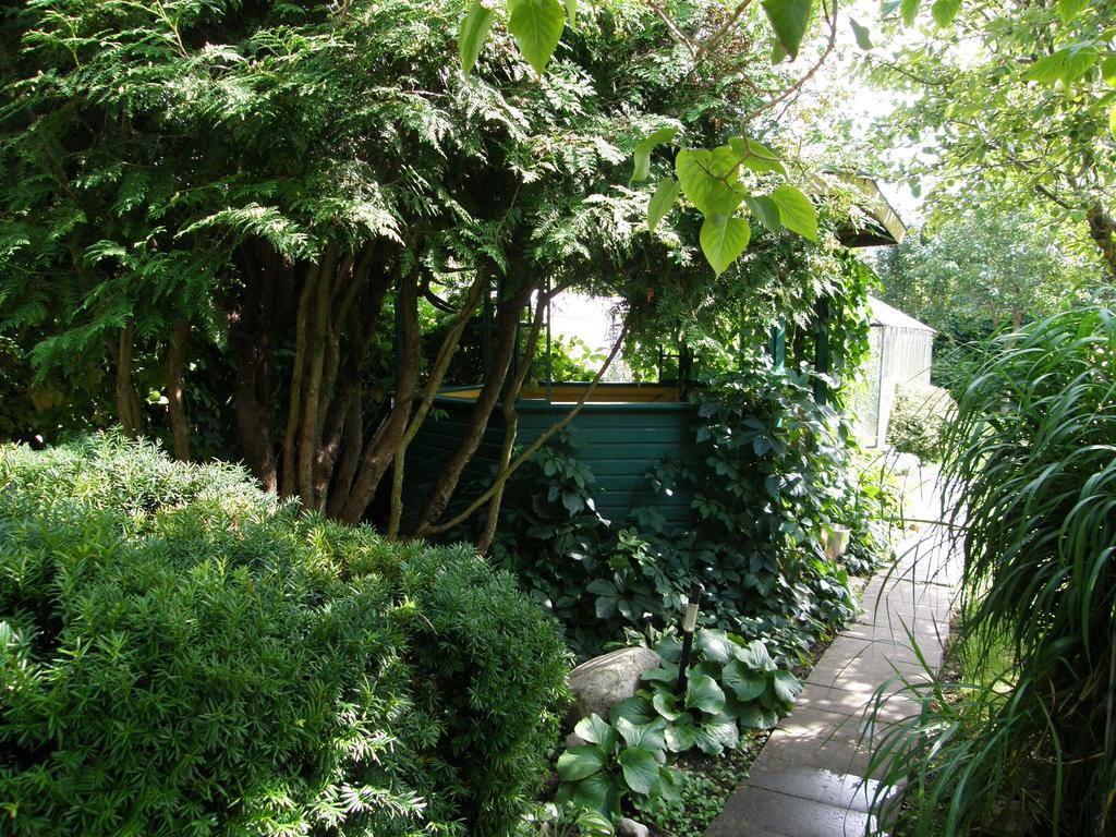 Šiauliai Home For Guests Lakstingala מראה חיצוני תמונה